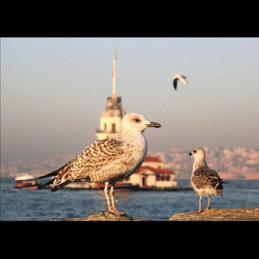 Luxury Grand Bazaar Suites Istambul Exterior foto